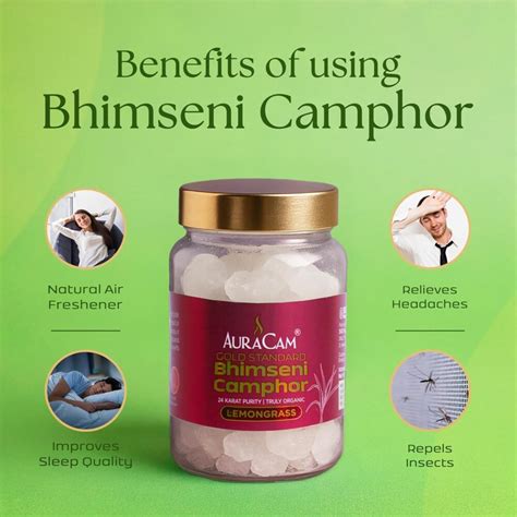 AuraCam Gold Standard Lavender Camphor Pod Set of 2