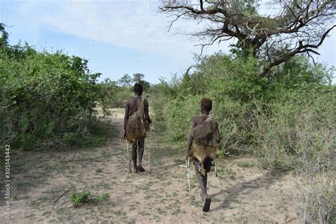 Primitive Tribesmen 的图像结果