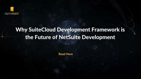NetSuite Development 的图像结果