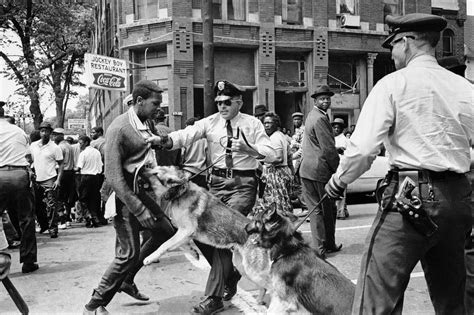 Famous Examples Of Civil Disobedience Throughout History