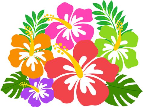 Hibiscus Flower Images Clip Art