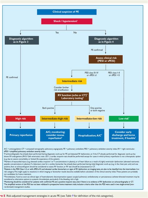 Pulmonary Embolism Algorithm 的图像结果