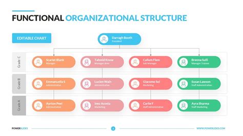 Functional Organizational Structure 的图像结果