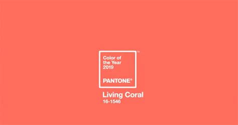2019年度流行色～珊瑚红/珊瑚橘Living Coral及配色方案|平面-网页|资讯|希尔瓦娜斯K - 原创文章 - 站酷 (ZCOOL)