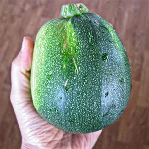 45 Types of Squash: (A-to-Z) Photos - Butter N Thyme