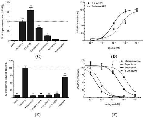 Characterization of an Invertebrate-Type Dopamine Receptor of the ...