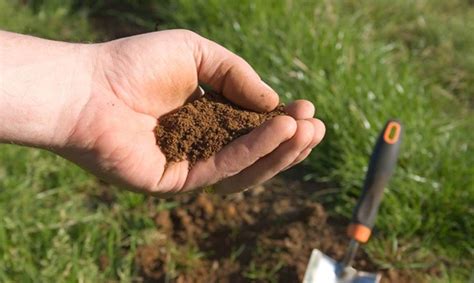 土壤微生物在作物生长过程中具体起着怎样的作用？-上海谓载科技有限公司