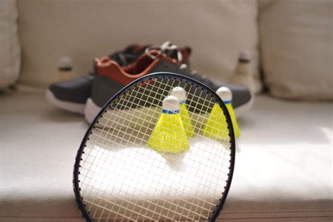 Badminton Net Shuttle Cock 的图像结果