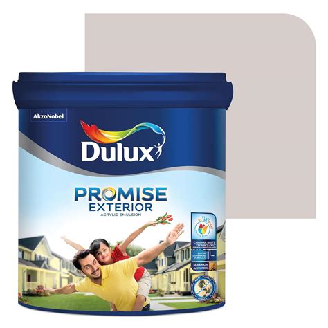 Dulux Promise Exterior Emulsion Paint (4L, Sweet Embrace) | Ideal for ...