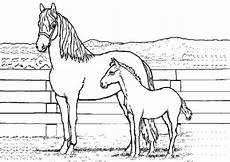 ausmalbilder drucken pferd pferdebilder zum ausmalen 02 ausmalbilder pferde ausmalbilder drucken pferd pferdebilder zum ausmalen 02 ausmalbilder pferde