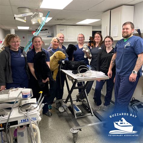 United Veterinary Care on LinkedIn: #uvc #uvcfamily #empower #support # ...