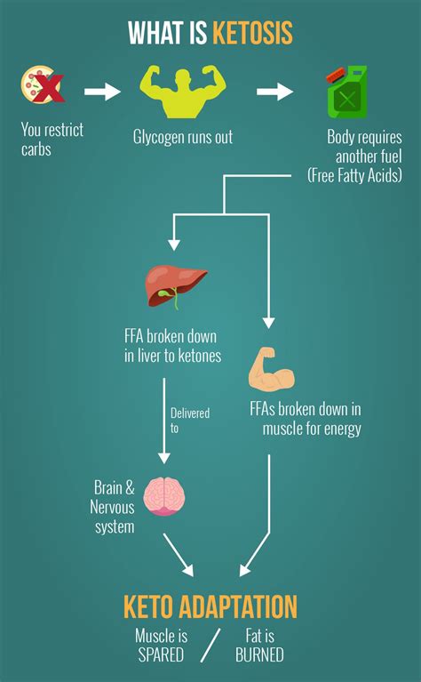 Weight Loss with Lots of Fat: A Plant-Based Twist on the Keto Diet? – Osinga Nutrition ...