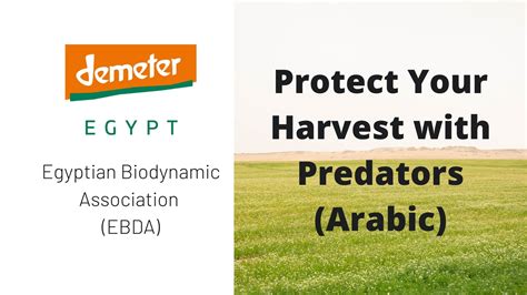 Protect Your Harvest with Predators (Arabic) – Ebda Earth