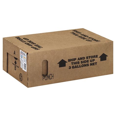 Tropicana Fruit Punch Juice Drink Fountain Syrup Bib, 3 Gallon ...