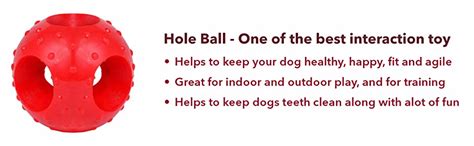 Buy Meat Up Non-Toxic Rubber Hole Ball Toy, Puppy/Dog Teething Toy - 7. ...