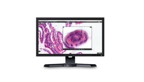 Slide Viewer for Computer 的图像结果