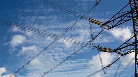 Net Grid Information 的图像结果