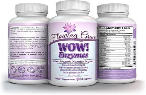 Buy WOW! Enzymes Extra-Strength Digestive Enzymes with Amylase, Lactase ...