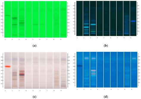 Sugar Profiling of Honeys for Authentication and Detection of ...