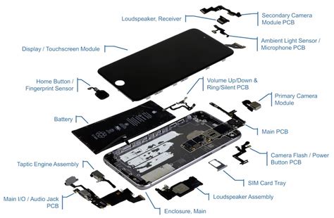 Image result for Behavior Coding