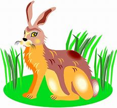 Image result for Pink Cartoon Bunny Rabbit