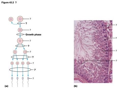 Rezultat imagine pentru Code Lesson 10 Part 14