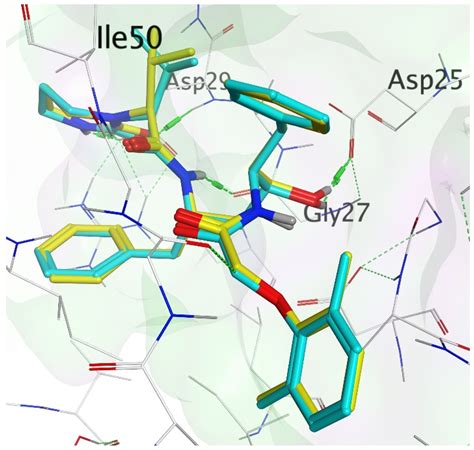 Discovery of Novel HIV Protease Inhibitors Using Modern Computational Techniques