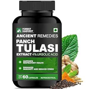 Forest Harvest Panch Tulasi Extract (4% Ursolic Acid) with Curcumin ...
