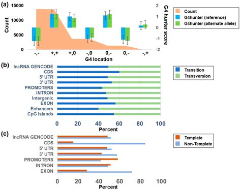 Analysis of Nucleotide Variations in Human G-Quadruplex Forming Regions ...