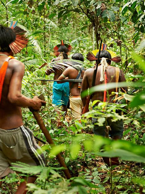 Jungle People In Africa