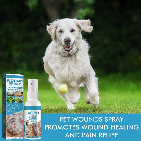 Buy Wound Spray for Pets, Promotes Skin Healing Intensive Care Spray ...