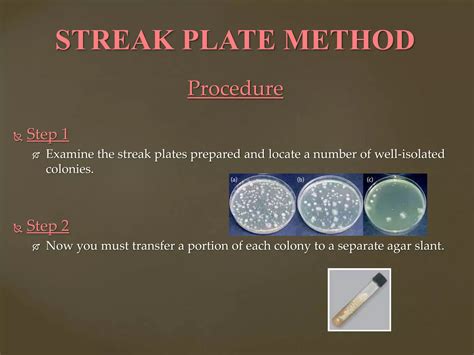 The Streak plate method, | PPTX