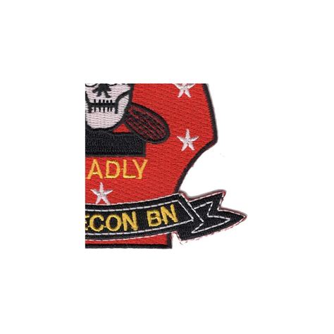 Popular Patch 2nd Reconnaissance Battalion Patch Swift Silent India | Ubuy