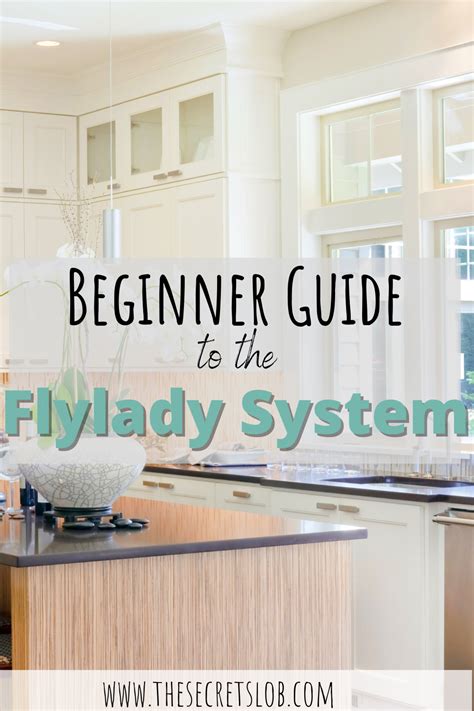 How to Start FlyLady 的图像结果