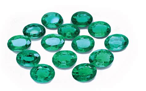 Image result for Emerald Back Python