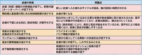 Image result for System Function Map