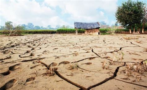 Close to 4,000 Madhya Pradesh Villages Stare at Acute Drought | NewsClick