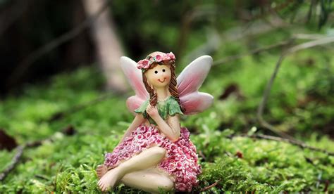 Images Of Real Life Fairies