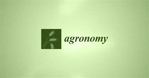 Understanding Starch Structure: Recent Progress | MDPI