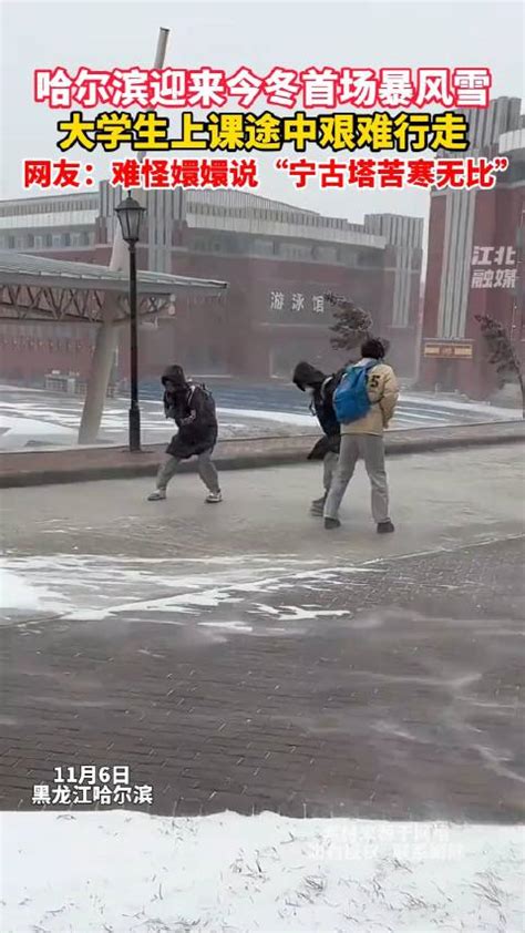 哈尔滨迎来今冬首场暴风雪，大学生上课途中艰难行走……_新浪新闻