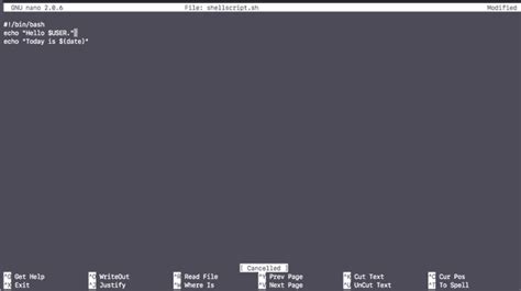 Image result for How to Save Script in Linux