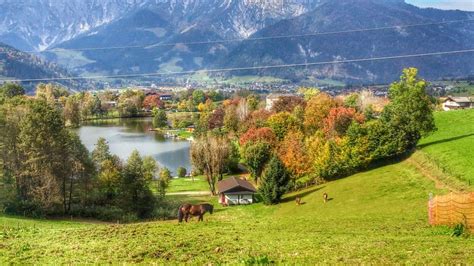 Klampfererhof | Bauernhof / Ferienwohnung / Appartement in Saalfelden