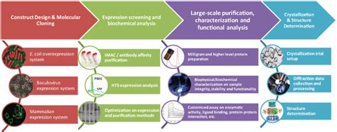 Image result for Protein Crystallization System
