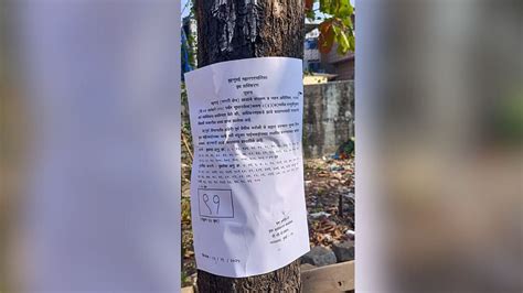 Mumbai: BMC Faces Opposition Over Proposal To Cut 96 Trees For Pipeline ...