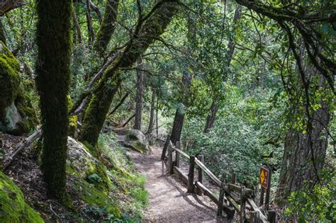 Castle Rock Falls - Sempervirens Fund