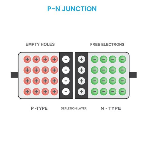PN junction diode diagram in physics vector illustration 18891996 ...