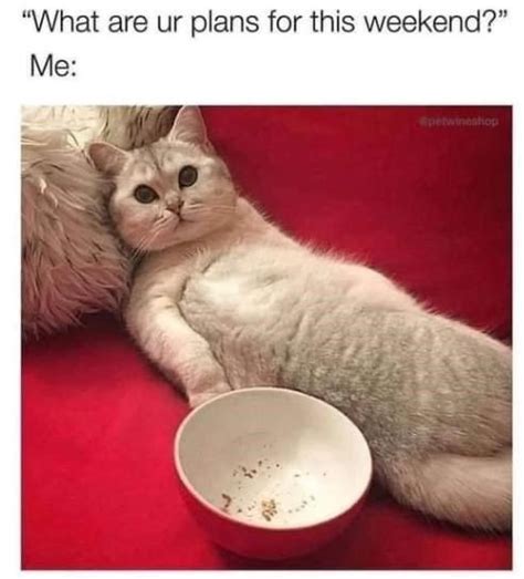 Image result for Randomly Distributed Graph