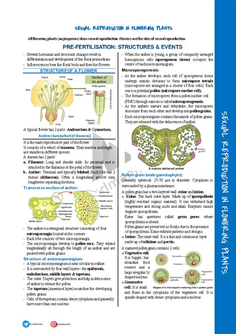 02 Sexual Reproduction IN Flowering Plants-converted-Copy - All ...