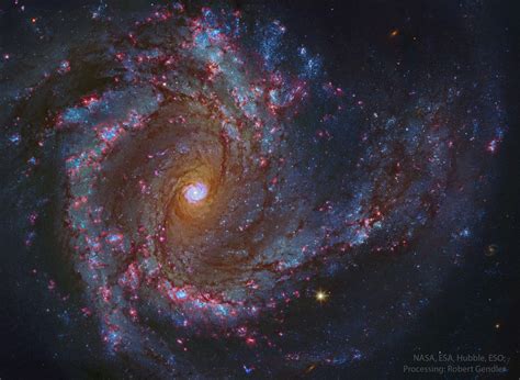 APOD: 2025 June 24 – In the Center of Spiral Galaxy M61