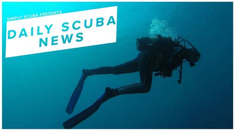 Diving Failure 的图像结果